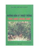 Hướng Dẫn Kỹ Thuật Trồng Cam, Quýt, Chanh, Bưởi 