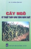 Cây Ngô Kỹ Thuật Thâm Canh Tăng Năng Suất