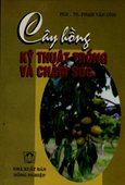 Cây Hồng Kỹ Thuật Trồng Và Chăm Sóc