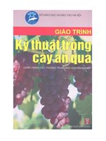 THCN.Giáo Trình Kỹ Thuật Trồng Cây Ăn Quả