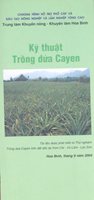 Kỹ Thuật Trồng Dứa Cayen